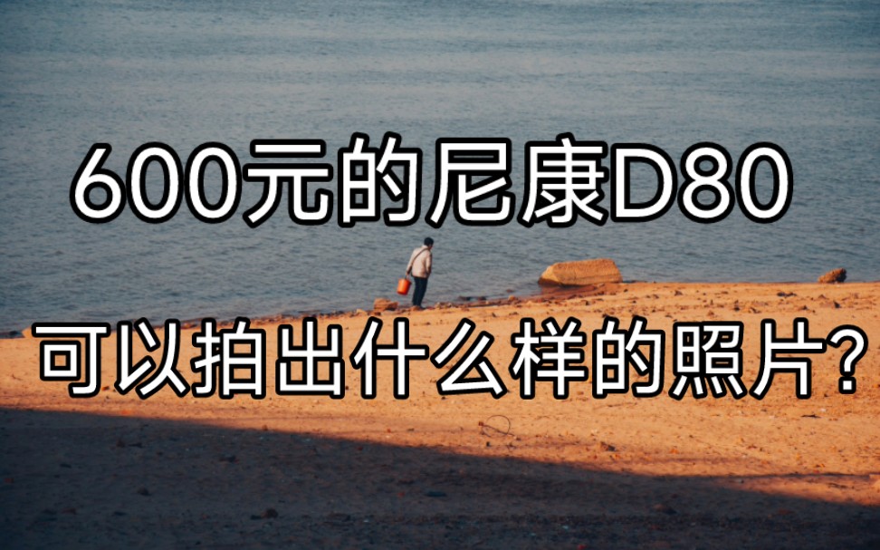 尼康D80 我的第一部相机哔哩哔哩bilibili