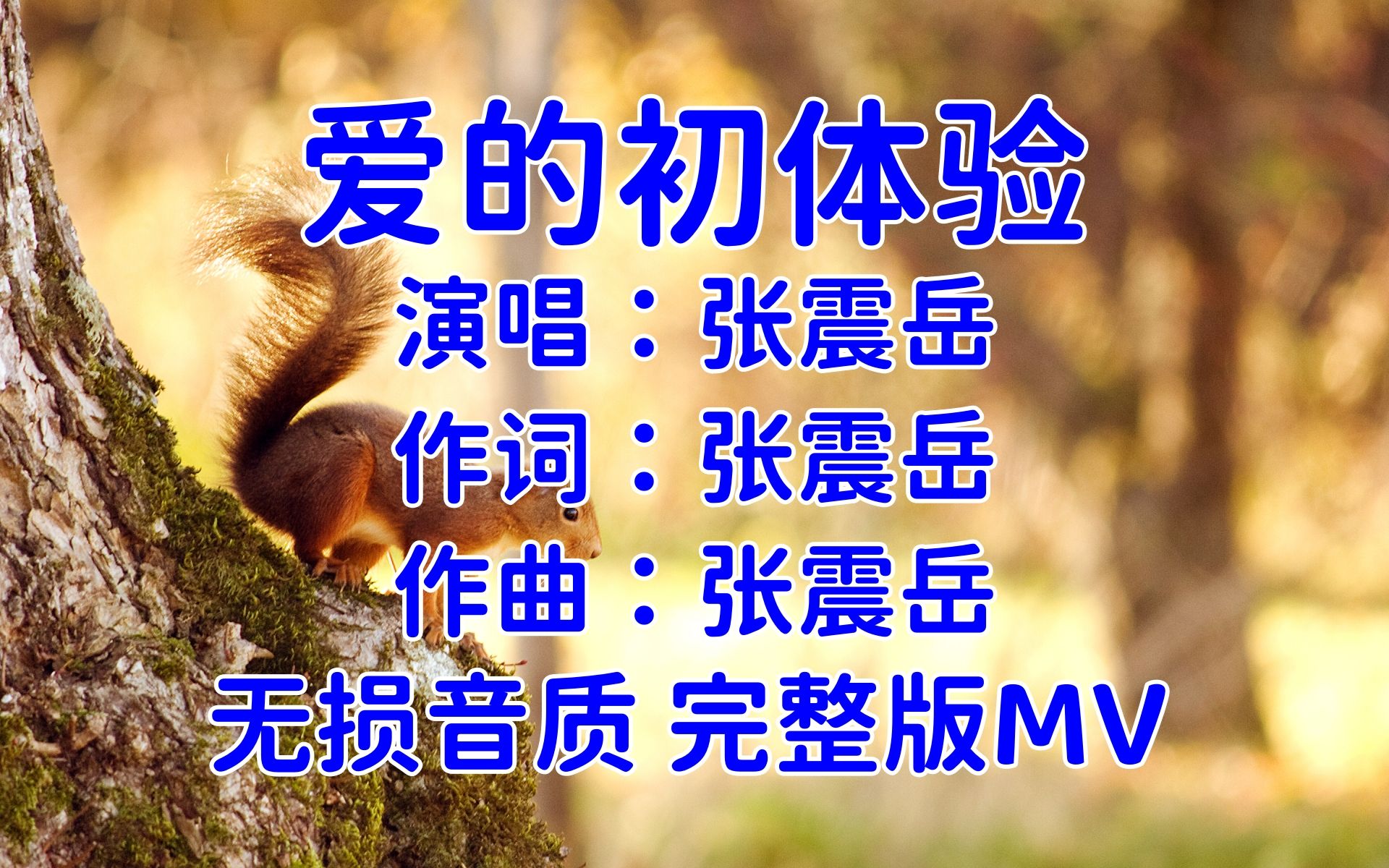 【精品音乐,完整版MV】爱的初体验张震岳怀旧MV哔哩哔哩bilibili