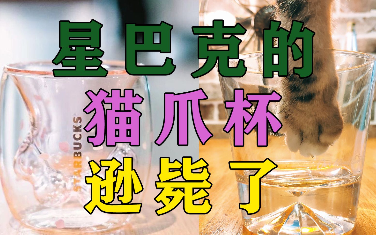 星巴克的猫爪杯那么贵那这个服务得多少钱