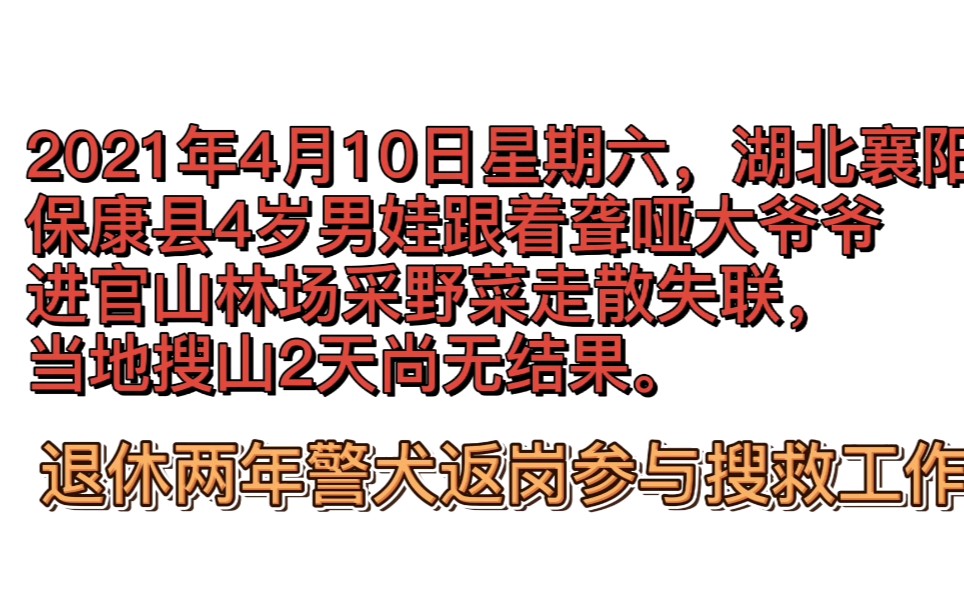 襄阳市保康县四岁男童走丢案搜救的工作过程(视频很长)哔哩哔哩bilibili