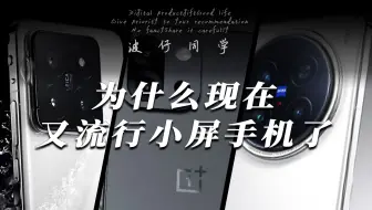 大屏时代要结束了？为什么小屏是高端必争之地？