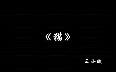 【西风】真ⷨﻤ𙦠| 《猫》王小波(爱猫人士慎入!哔哩哔哩bilibili