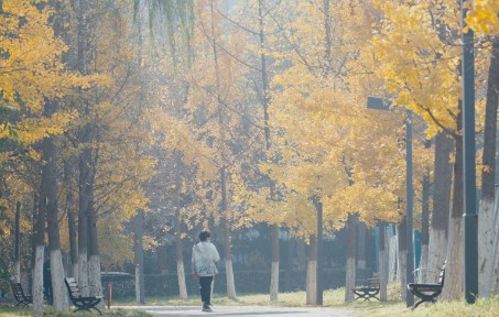 记录一下来到西工的第二个秋哔哩哔哩bilibili