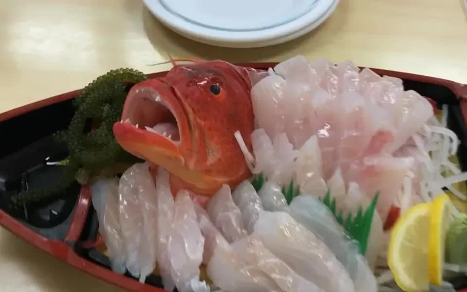 在日本吃生鱼片,看着石斑鱼被做成生鱼片,不敢吃,感受了下芥末