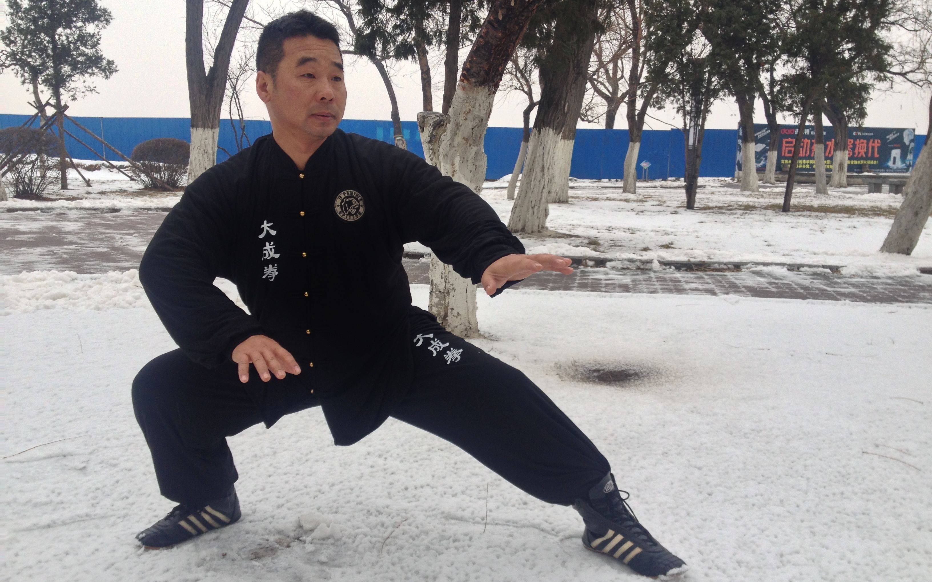 意拳第四代嫡传王金辉先生健舞表演