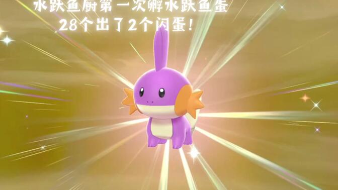 28个蛋孵出两只闪光水跃鱼!希望看到这个视频的朋友也能幸运!