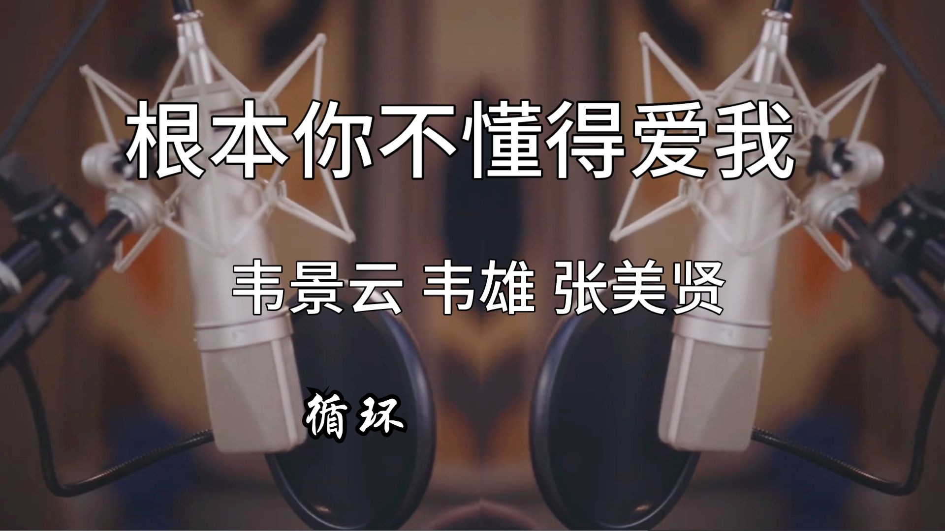 《根本你不懂得爱我》 韦景云 韦雄 张美贤 单曲1小时循环【东篱菊音乐私藏】“根本你不懂得不懂得爱我 ”【无损音质】精选 高音质 粤语歌曲哔哩哔哩...