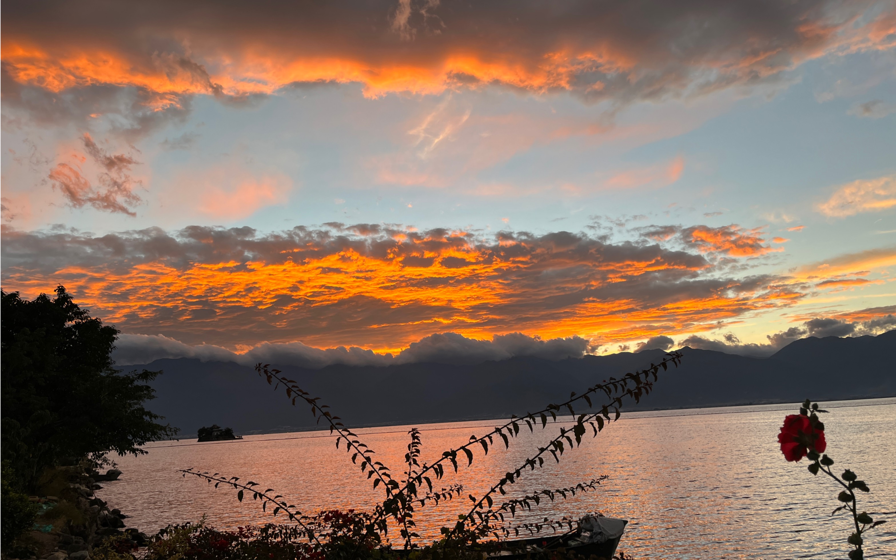 被洱海的晚霞美呆.
