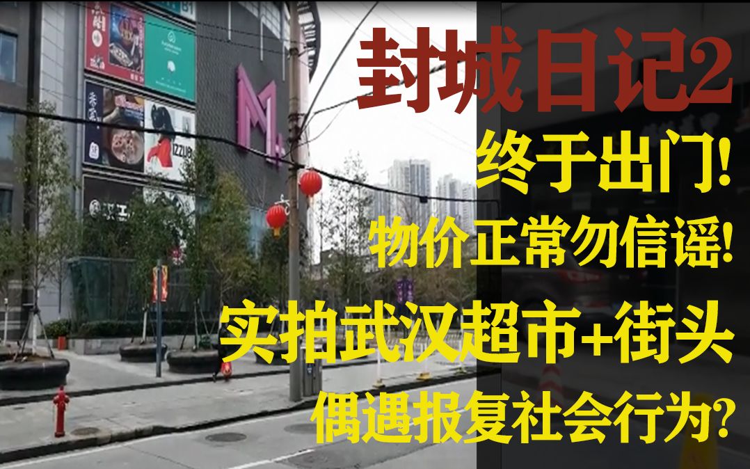 武汉封城第五天:实拍武汉超市,街头实况,勿信谣言!偶遇报复社会行为?一名普通武汉市民第一次出门哔哩哔哩bilibili