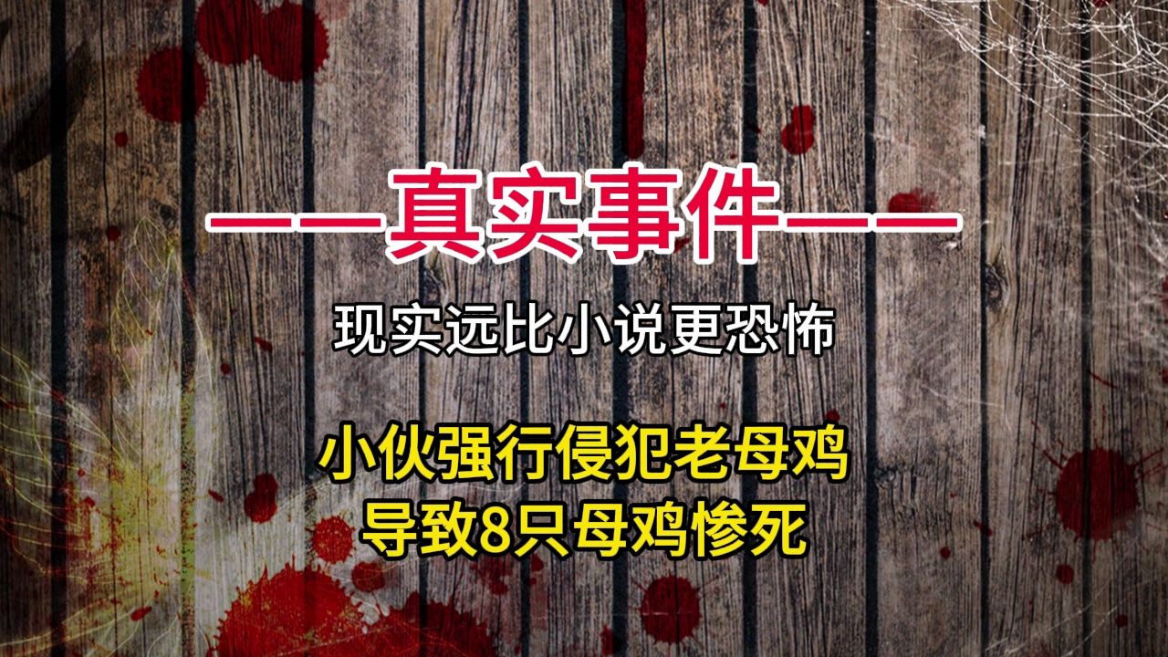 山东小伙侵犯8只老母鸡,导致母鸡惨死哔哩哔哩bilibili