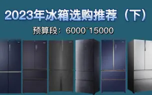 2023年最全冰箱选购攻略（下）！6000元以上高性价比冰箱推荐&海尔/美的/容声/卡萨帝/西门子&十字门/对开门/法式四门冰箱！