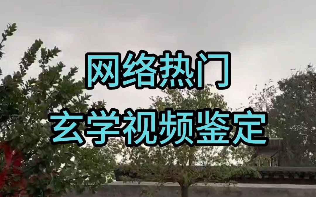 [图]鉴定网络热门玄学视频：引雷法