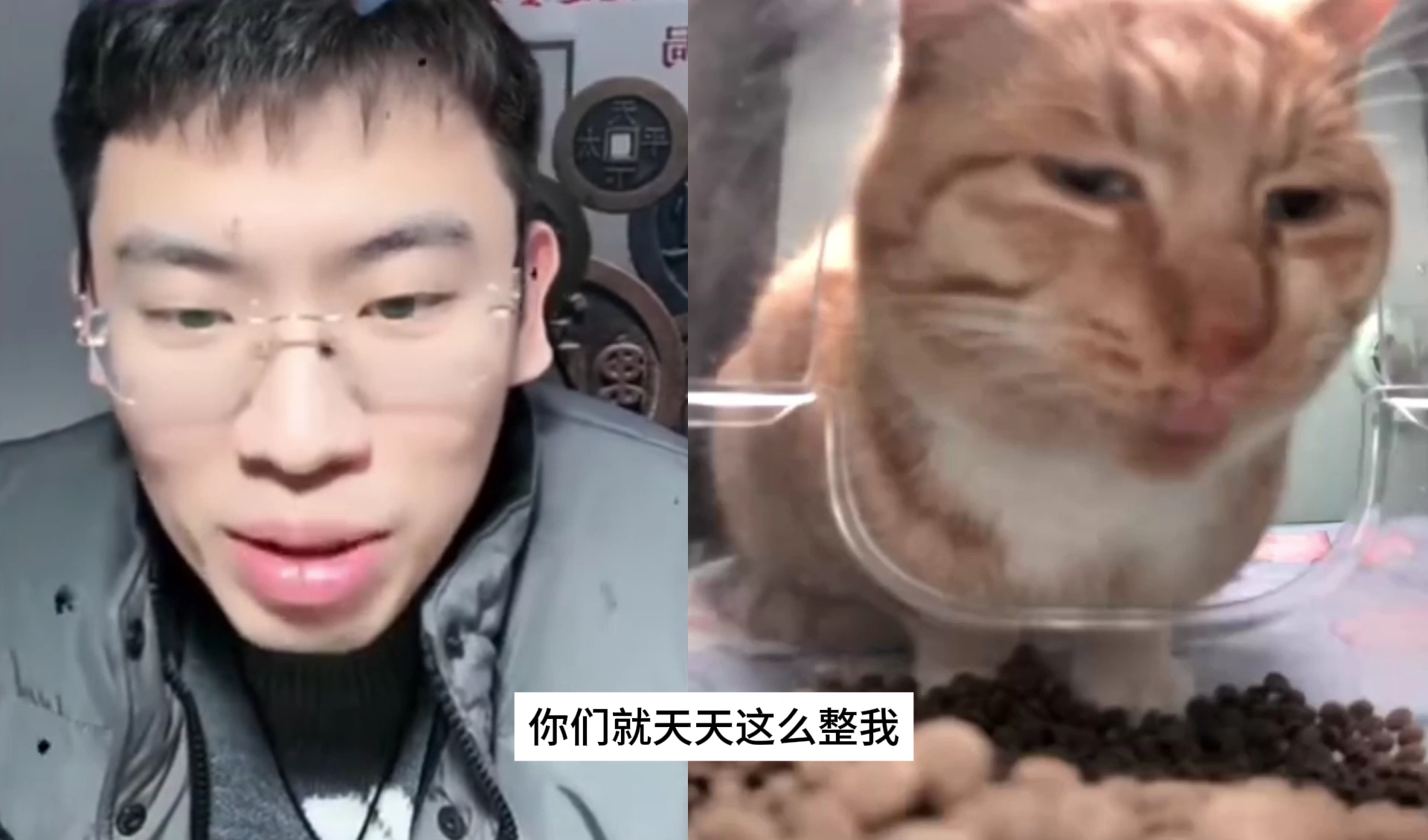 [图]听泉鉴宝搞笑连麦到新鲜猫