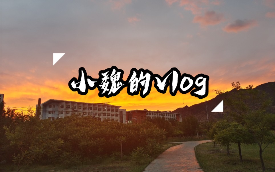 小魏的vlog 1 ——校园散步