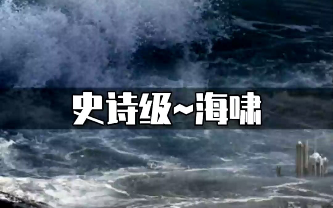 风力等级划分,12级台风恐怖如斯哔哩哔哩bilibili