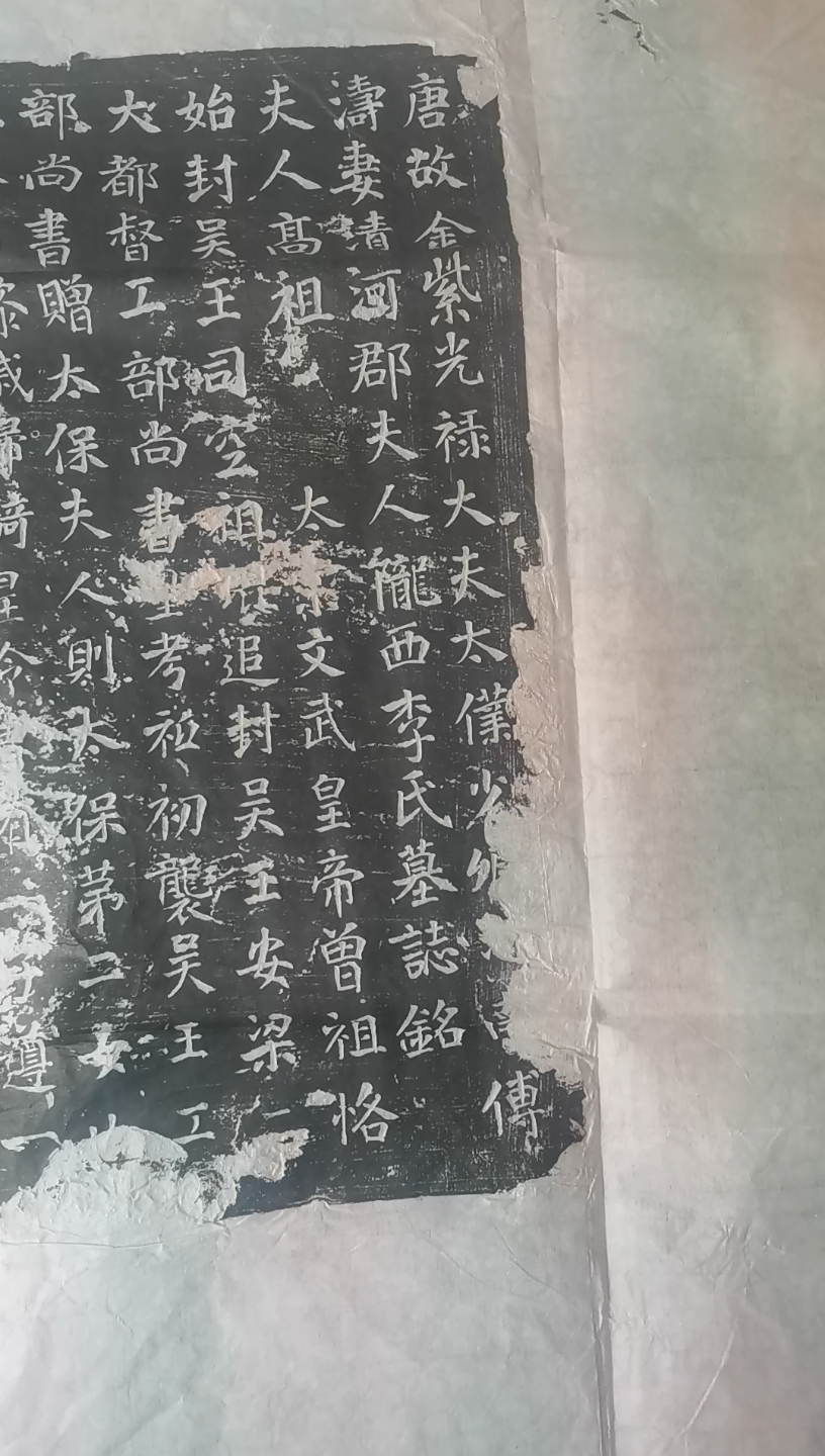 新获《唐故金紫光禄大夫太仆少卿【】南傅涛妻清河郡夫人陇西李氏墓志铭》 哔哩哔哩