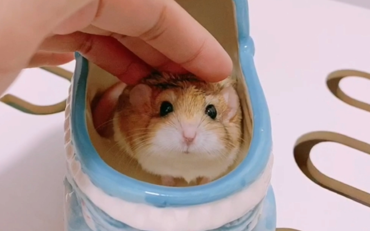 通心粉鼠光线好时卡卡也是肤白貌美的大脸鼠