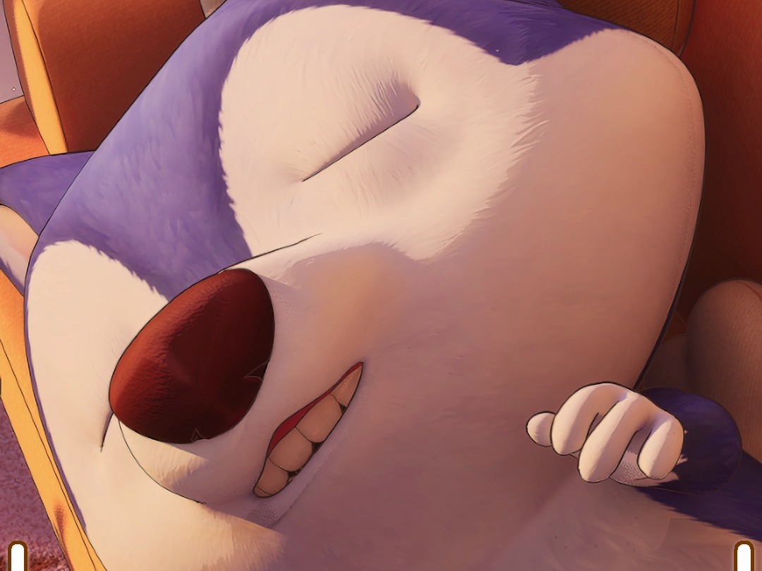 哈士奇_怎樣都好睡/husky_sleepyhead