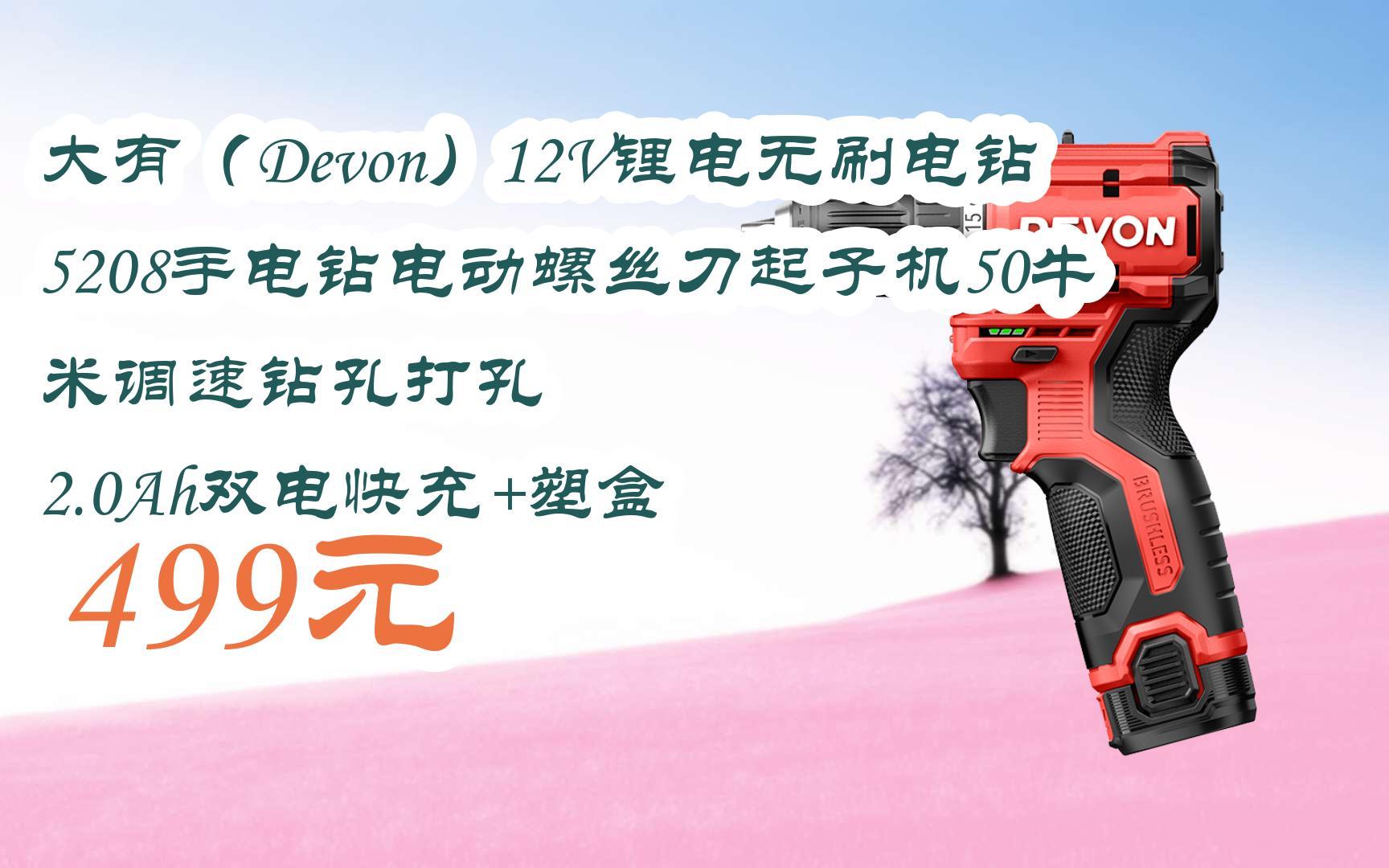 【双11攻略】大有(devon)12v锂电无刷电钻5208手电钻电动螺丝刀起子机