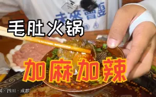 Скачать видео: 特辣火锅加一坨底料什么味道？烫火锅吃鲜货喝二两才霸道。满赞的很！