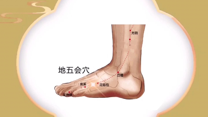 疏泄肝胆的地五会穴