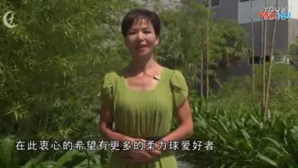 Video herunterladen: 分节教学 柔力球双拍套路 陪你一起看草原