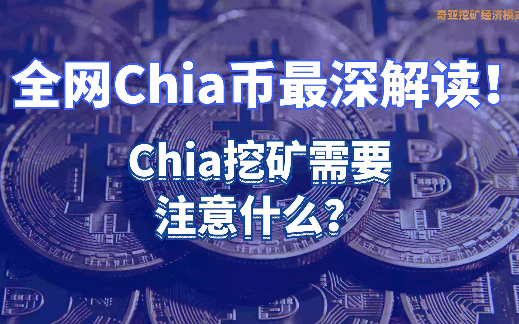 全网chia币最深解读绿色比特币chia机遇与风险并存