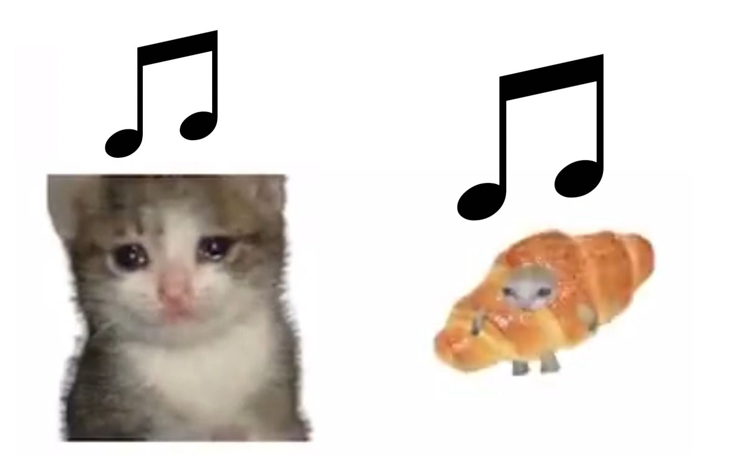 可颂猫，但是各种meme音效(附音效素材)