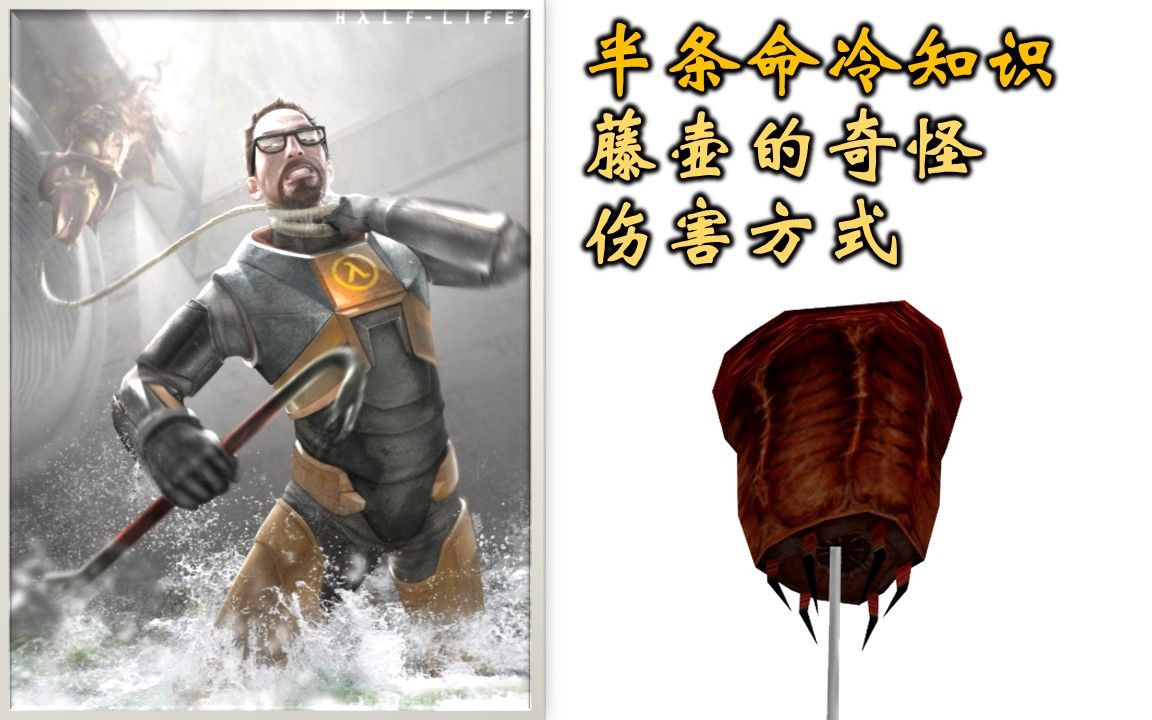 【半条命冷知识】藤壶奇怪的伤害方式(关于护甲防御的判定)