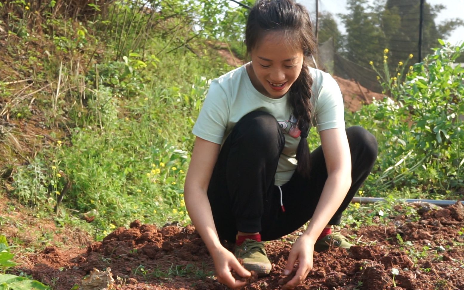 南瓜苦瓜黄瓜丝瓜,你喜欢哪个瓜,农村小妹种得到处都是