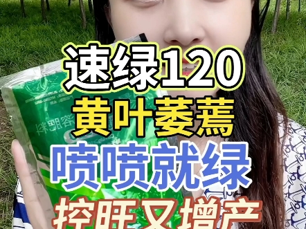 速绿120黄叶萎蔫喷喷就绿,控旺又增产拍10发15哔哩哔哩bilibili