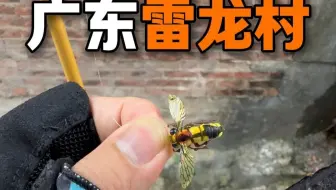 还不来龙舟水，小沟都快干枯的
