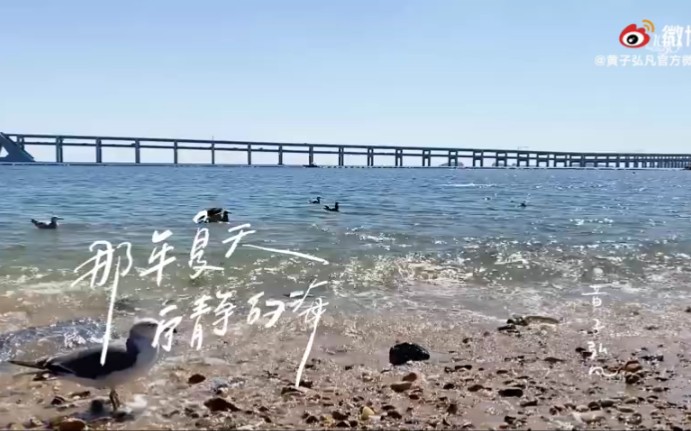 [图]【黄子弘凡】那年夏天宁静的海 mv