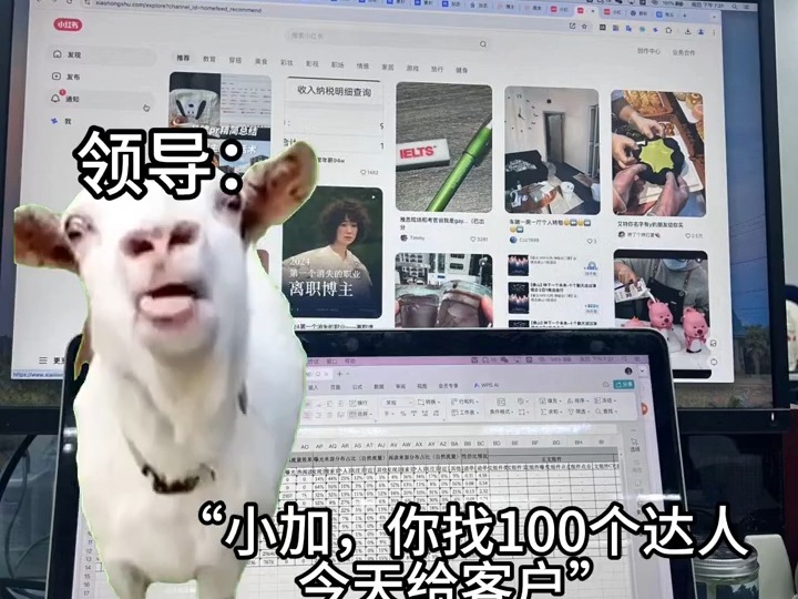 小红书 | 媒介挑战下班前用10分钟找100个达人!哔哩哔哩bilibili