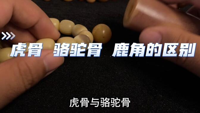 虎骨的鉴别 虎骨骆驼骨鹿角的区别详解