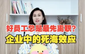 Download Video: 好员工最先离职，差员工反而留下，企业中的“死海效应”