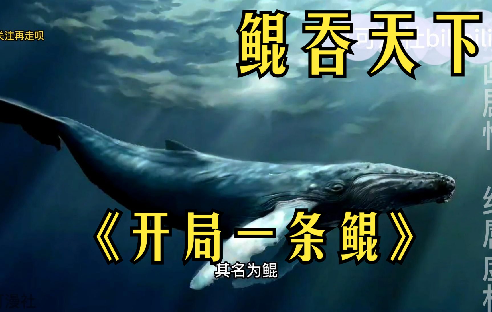 一口气看爽《开局一条鲲》.