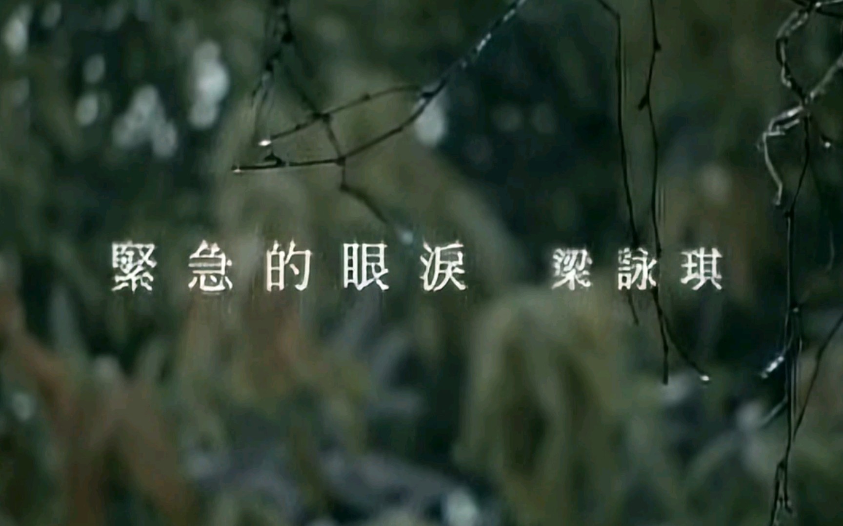 Gigi Leung 梁咏琪 - 紧急的眼泪 （MV）