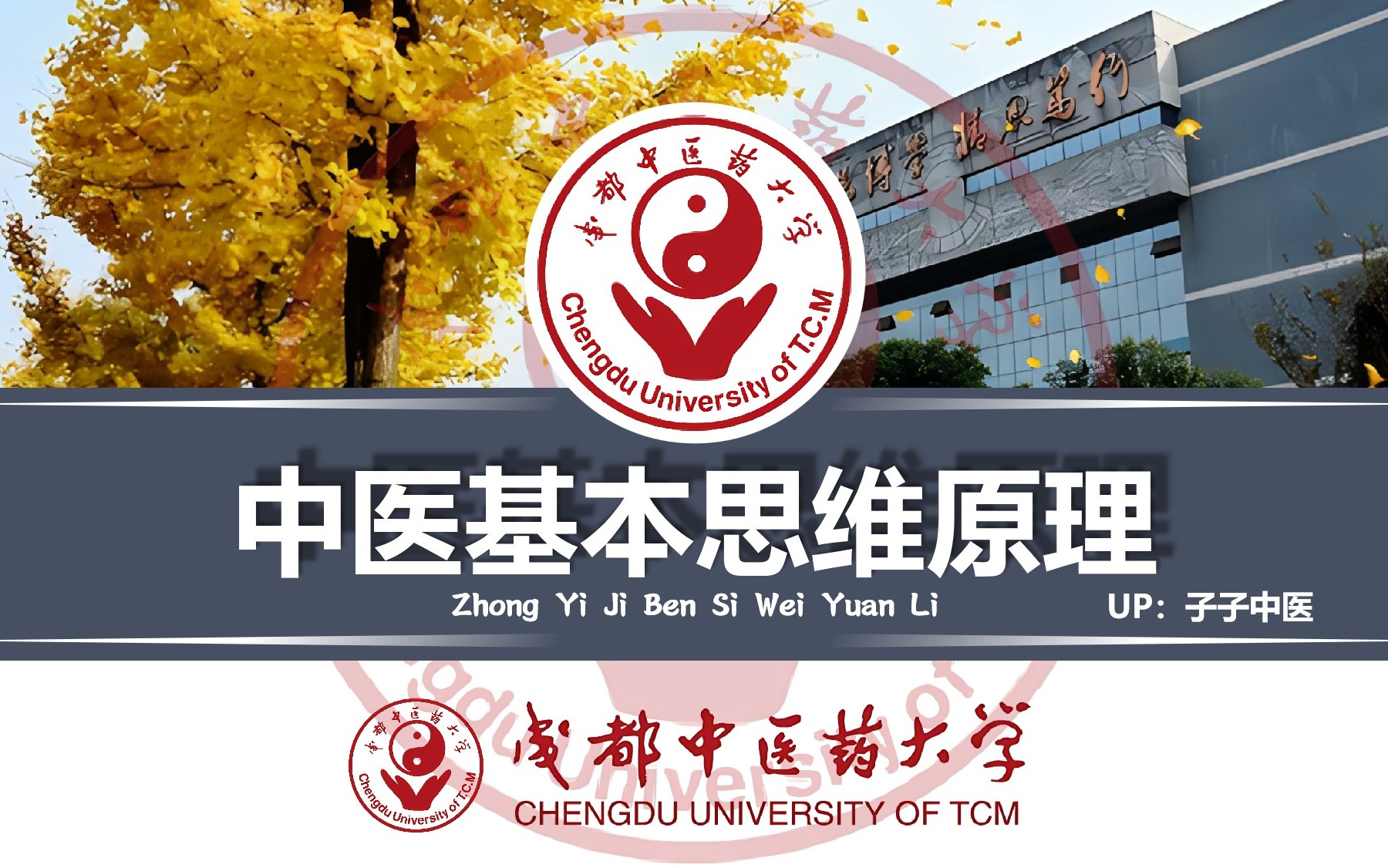 中医基本思维原理邓中甲教授成都中医药大学精剪版(子子中医整理&高校系列课程)哔哩哔哩bilibili