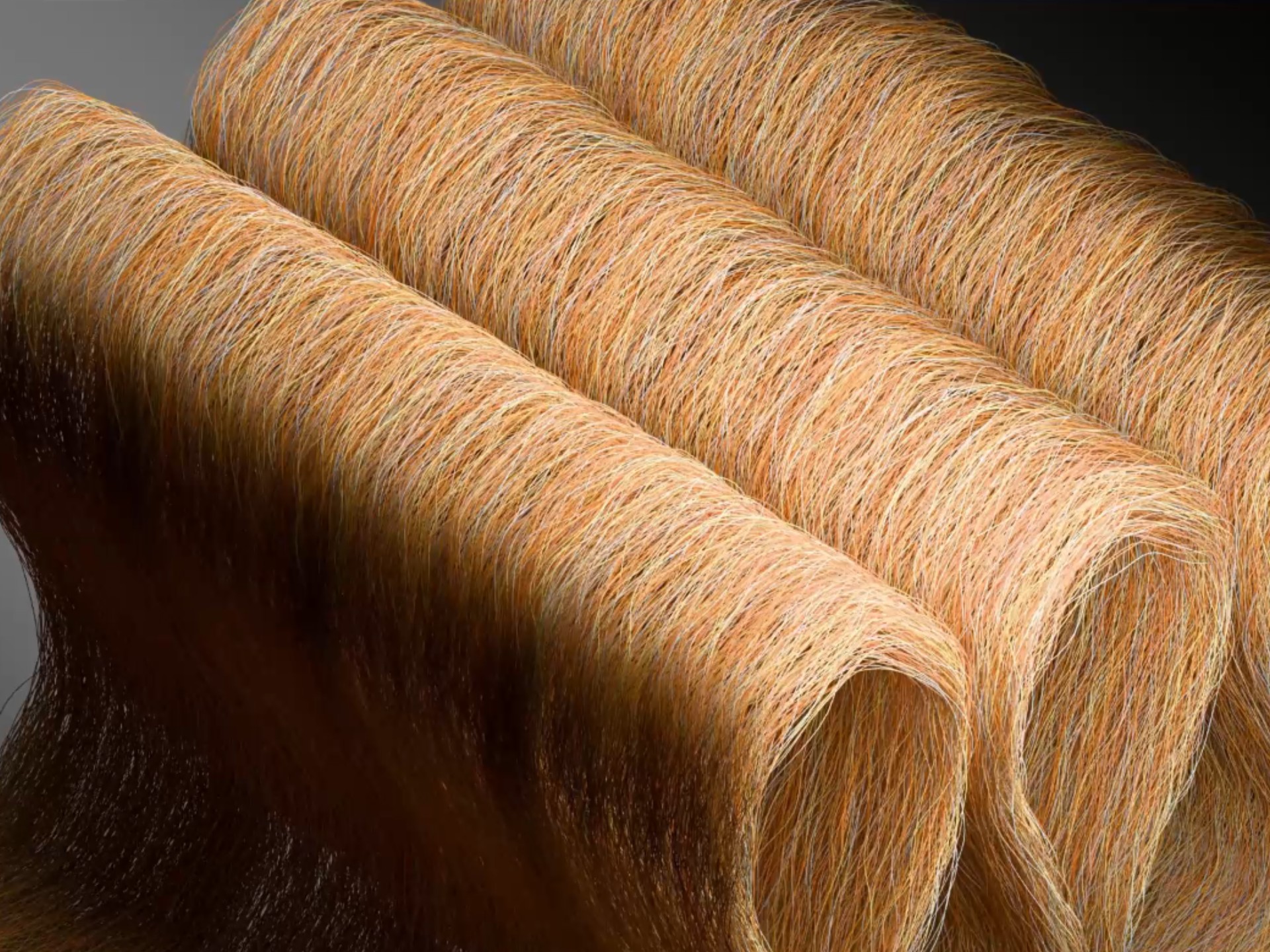 开展一再！新乡化纤菌草纤维工业化摁下加快键