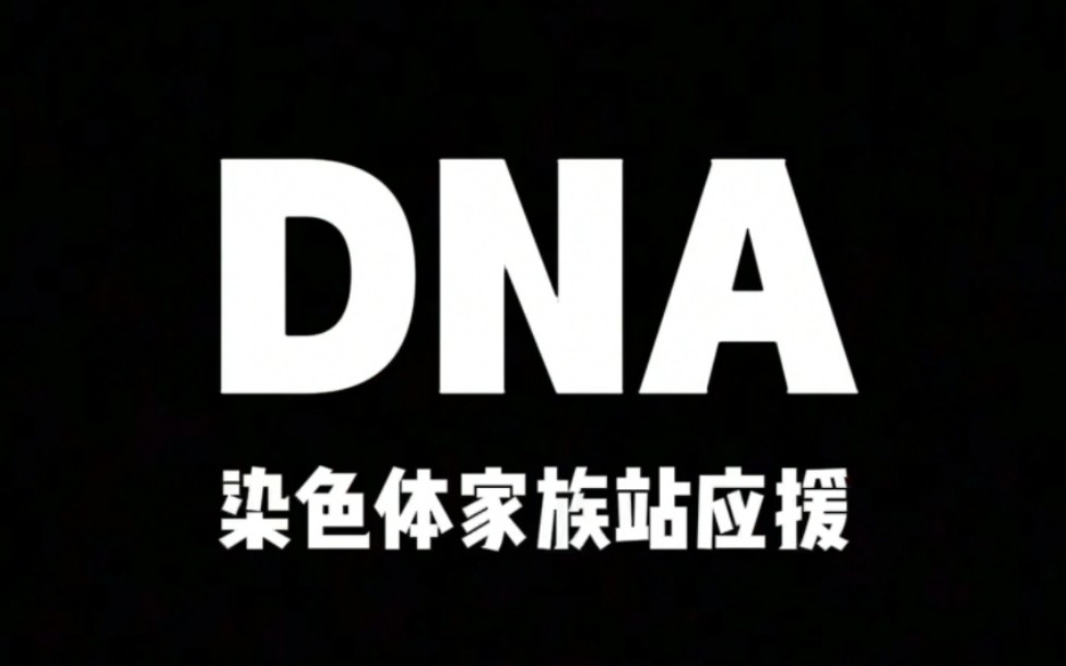 【染色体家族站】DNA音乐节应援活动哔哩哔哩bilibili