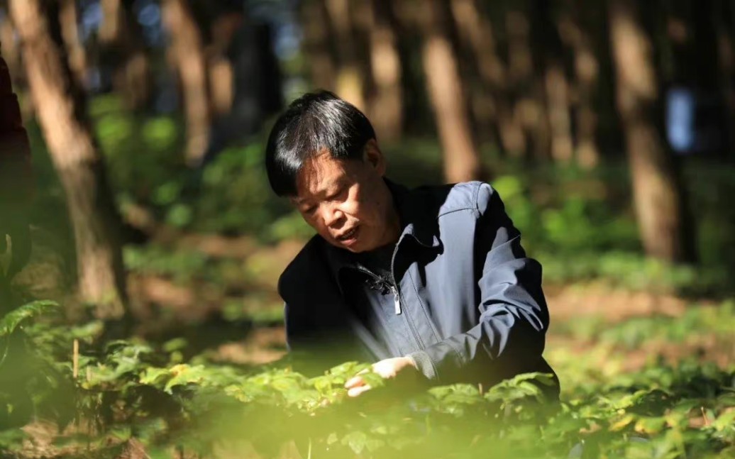 [图]“不获全胜，决不收兵！”【农民院士】朱有勇的发言—2019年12月30日