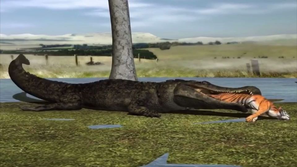 帝鳄恰老虎沙雕动画