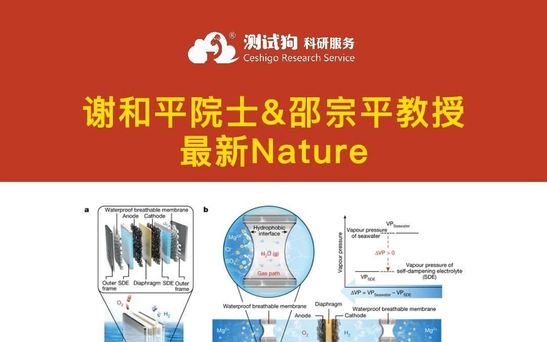 顶刊速览丨大牛近期Nature、Science大赏哔哩哔哩bilibili