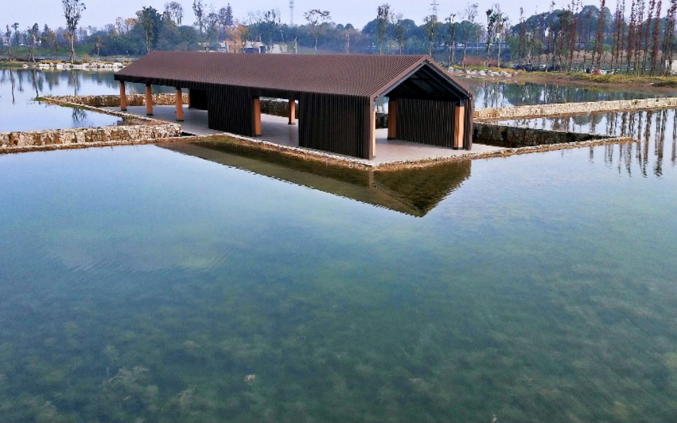 嗯,成都青龙湖湿地公园(2期)可香了(*^ω^*)