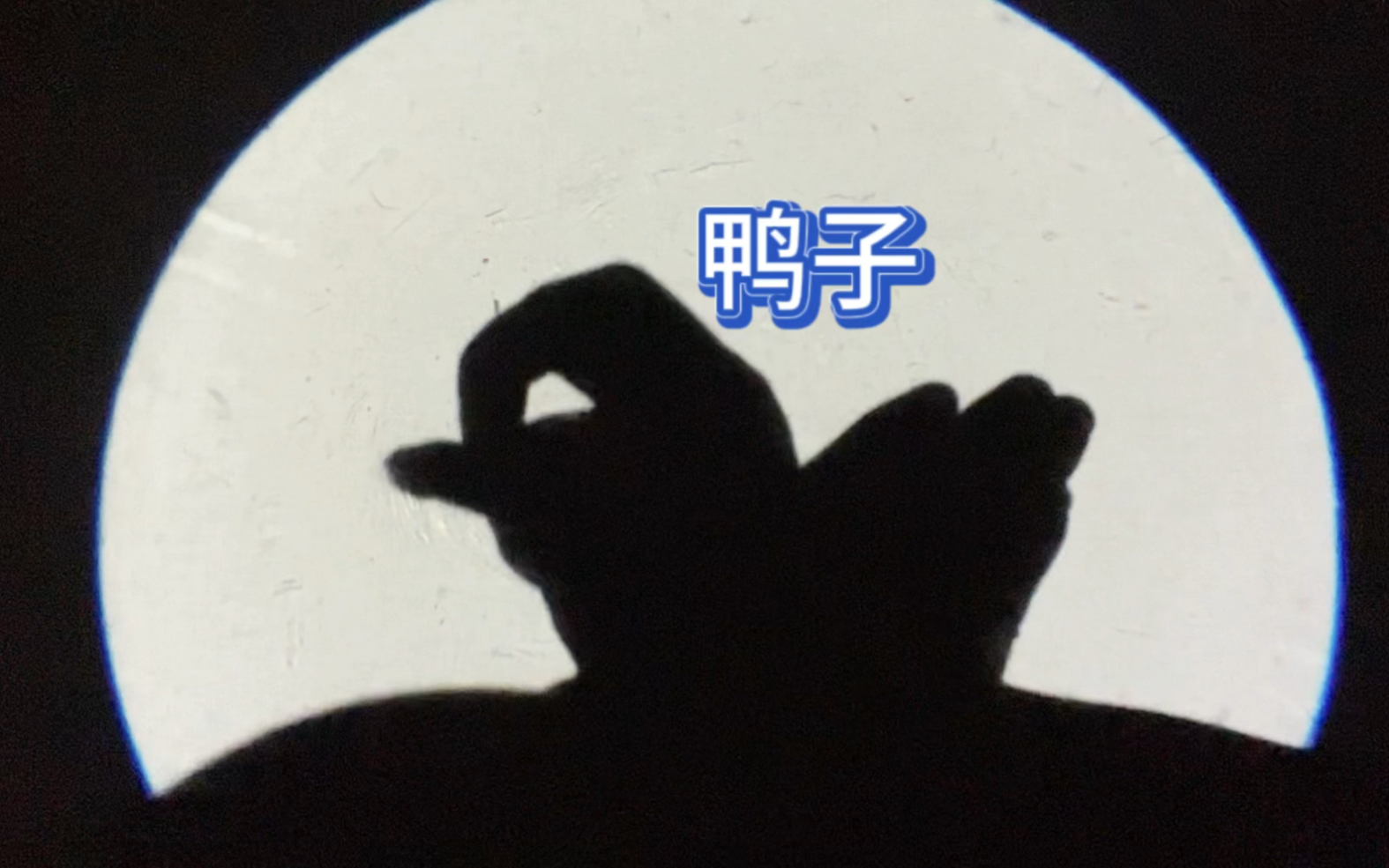 手影——小鸭子