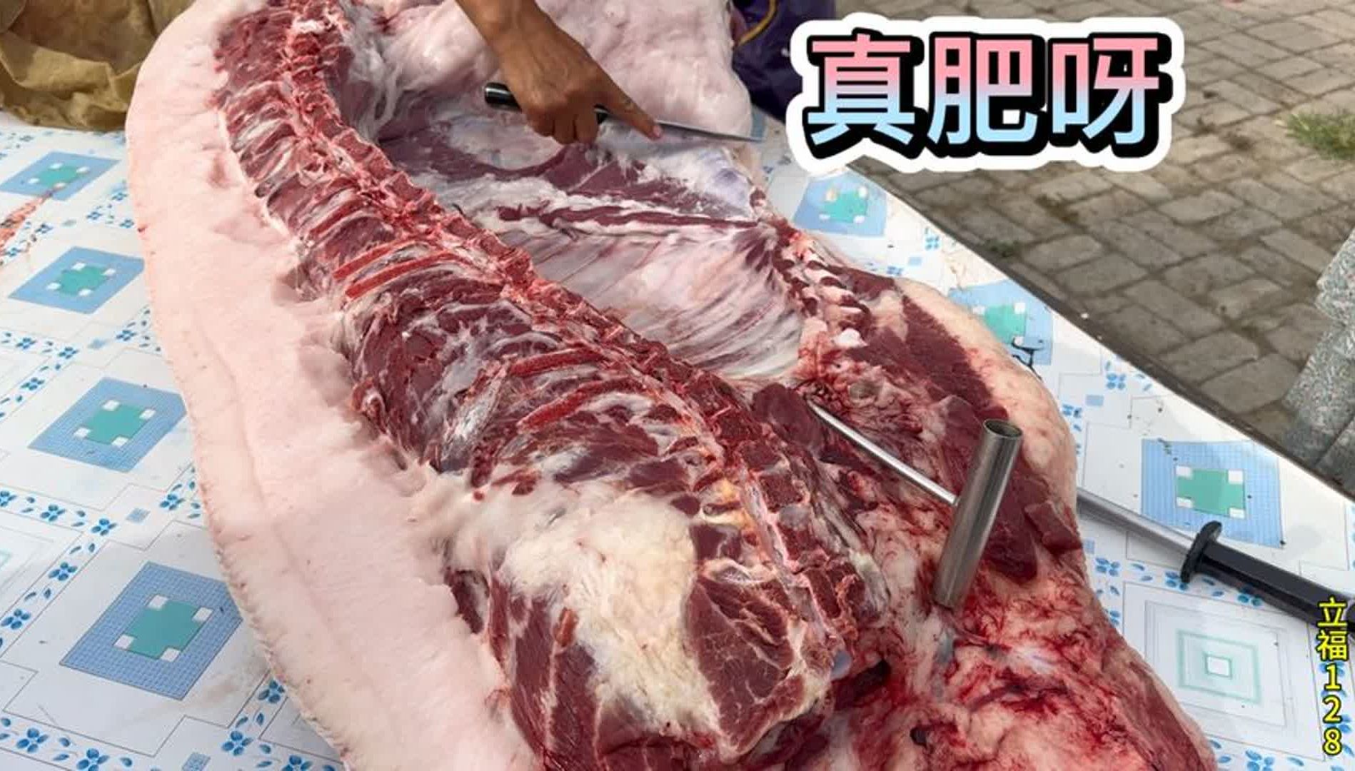 农村大黑猪超级胖,肥肉膘子雪白铮亮都流油,一般人都没见过,香
