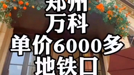 郑州万科单价6000多买精装修现房哔哩哔哩bilibili