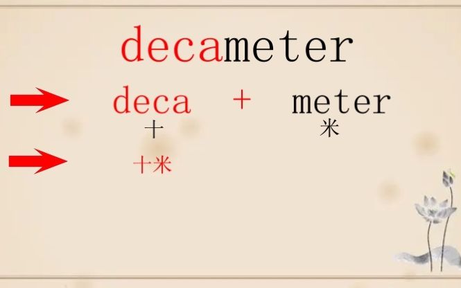 轻松学英语、每天仨单词【deca】哔哩哔哩bilibili