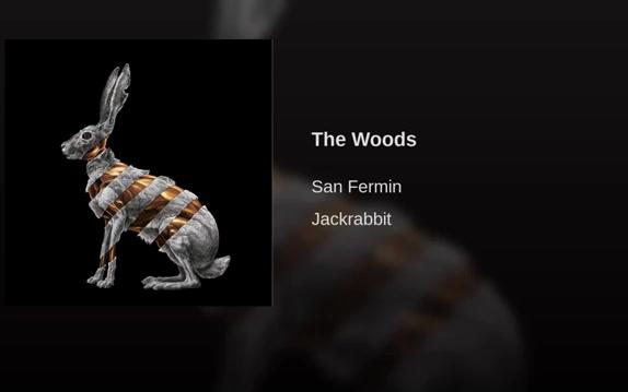 [图]San Fermin - The Woods